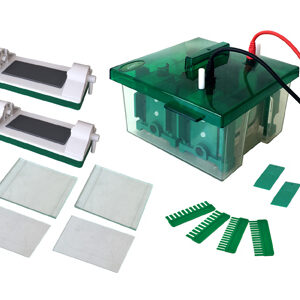 Mini-Protean Pystysuuntainen elektroforeesisolu YG1576